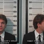 Emile Hirsch Mugshot 2015